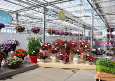 The novelties area at Sakata.